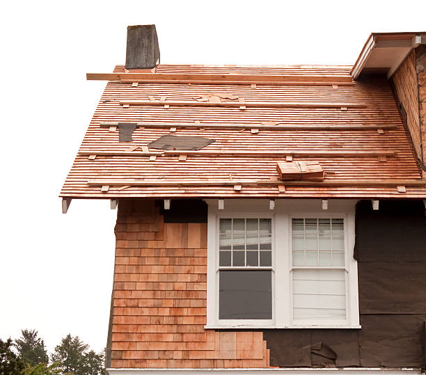 Best Storm Damage Siding Repair  in Morgan City, LA